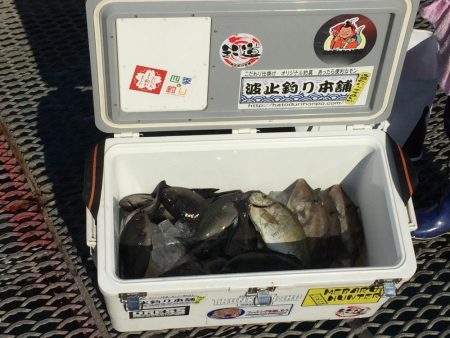 小物釣り満喫